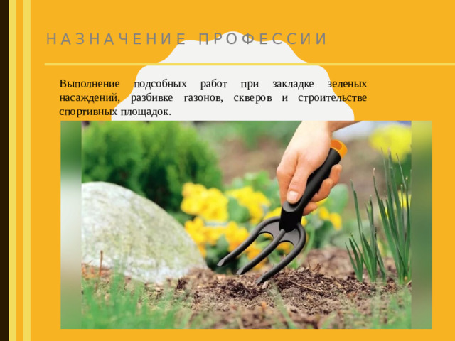 Назначение профессии  Выполнение подсобных работ при закладке зеленых насаждений, разбивке газонов, скверов и строительстве спортивных площадок.