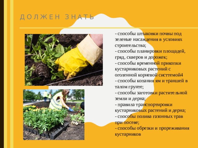 Должен знать - способы штыковки почвы под зеленые насаждения в условиях строительства; - способы планировки площадей, гряд, скверов и дорожек; - способы временной прикопки кустарниковых растений с оголенной корневой систтемой4 - способы копания ям и траншей в талом грунте; - способы заготовки растительной земли и дерна; - правила транспортировки кустарниковых растений и дерна; - способы полива газонных трав при посеве; - способы обрезки и прореживания кустарников