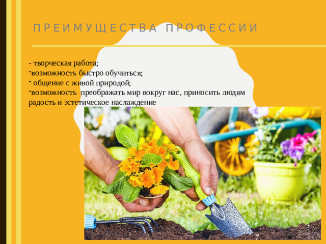 Преимущества профессии - творческая работа;