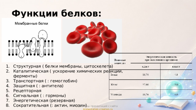 Функции белков: Структурная ( белки мембраны, цитоскелета) Каталитическая ( ускорение химических реакций, ферменты) Транспортная ( : гемоглобин) Защитная ( : антитела) Рецепторная Сигнальная ( : гормоны) Энергетическая (резервная) Сократительная (: актин, миозин) Шаблоны презентаций с сайта presentation-creation.ru