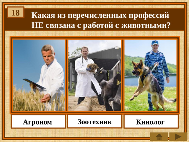 18 Какая из перечисленных профессий НЕ связана с работой с животными? Зоотехник Агроном Кинолог