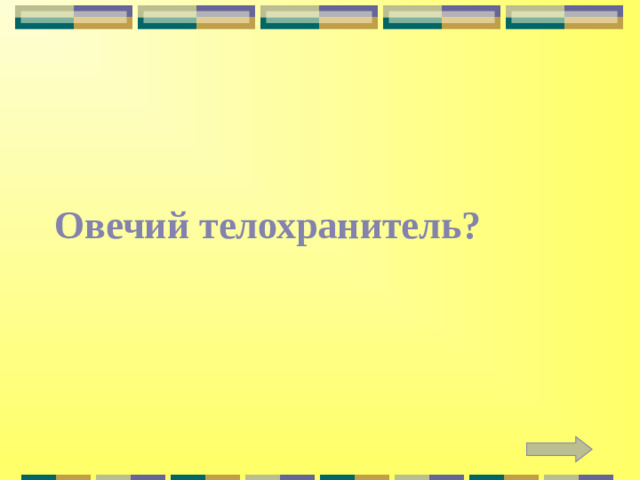 Овечий телохранитель?