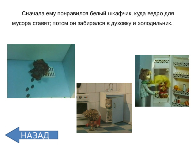 Сначала ему понравился белый шкафчик, куда ведро для мусора ставят; потом он забирался в духовку и холодильник.   НАЗАД