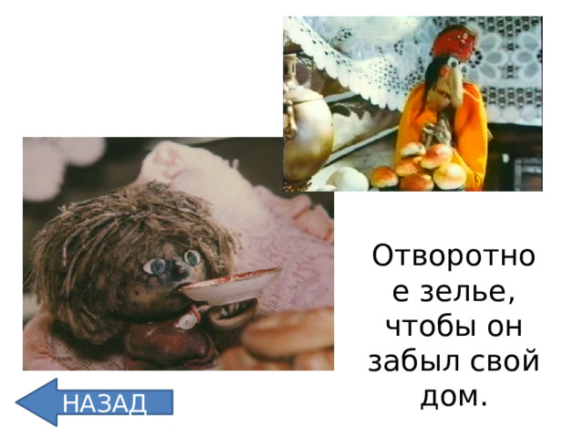 Отворотное зелье, чтобы он забыл свой дом. НАЗАД