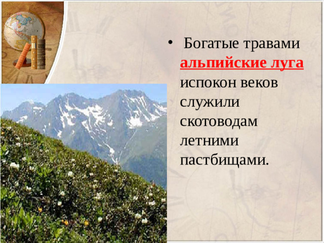 Богатые травами альпийские луга
