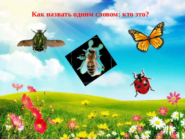 Как назвать одним словом: кто это?