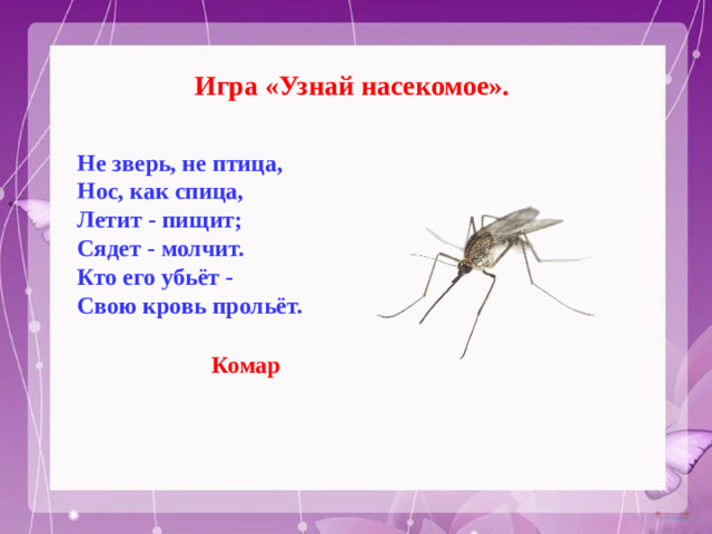 Игра «Узнай насекомое». Не зверь, не птица,  Нос, как спица,  Летит - пищит;  Сядет - молчит.  Кто его убьёт -  Свою кровь прольёт.  Комар