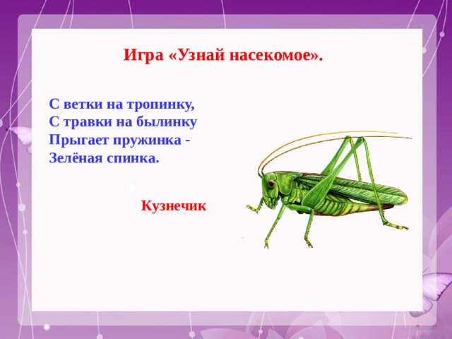 Игра «Узнай насекомое». С ветки на тропинку,  С травки на былинку  Прыгает пружинка -  Зелёная спинка.  Кузнечик
