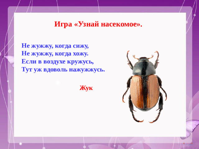 Игра «Узнай насекомое». Не жужжу, когда сижу,  Не жужжу, когда хожу.  Если в воздухе кружусь,  Тут уж вдоволь нажужжусь.   Жук