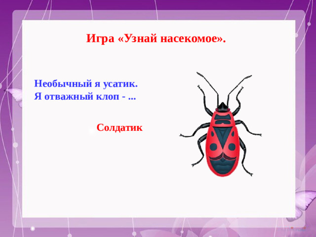 Игра «Узнай насекомое». Необычный я усатик.  Я отважный клоп - ...   Солдатик