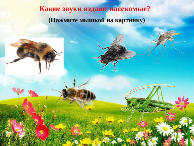Какие звуки издают насекомые? (Нажмите мышкой на картинку)