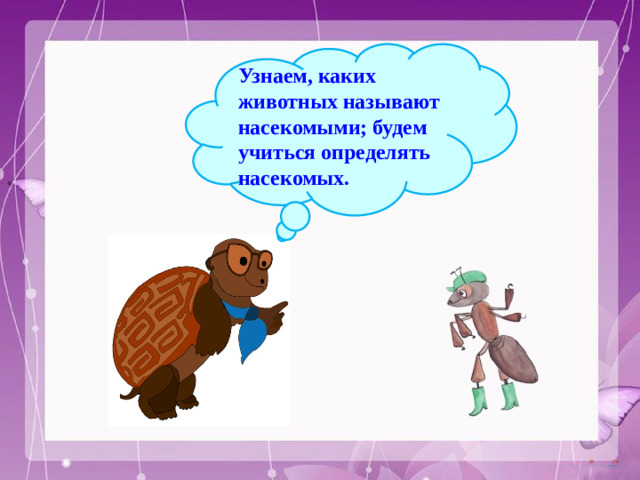 Узнаем, каких животных называют насекомыми; будем учиться определять насекомых.