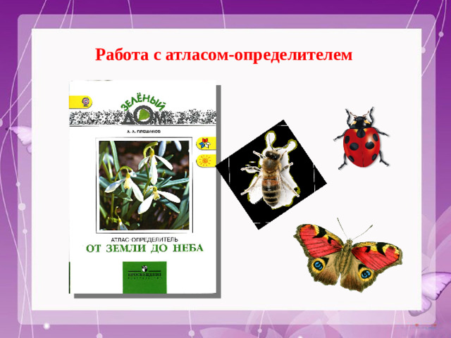 Работа с атласом-определителем