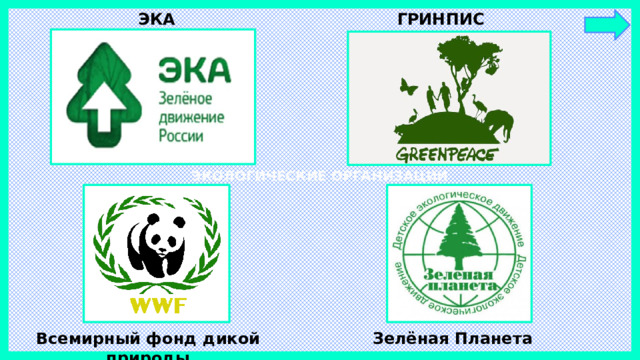 ЭКА ГРИНПИС ЭКОЛОГИЧЕСКИЕ ОРГАНИЗАЦИИ Всемирный фонд дикой природы Зелёная Планета
