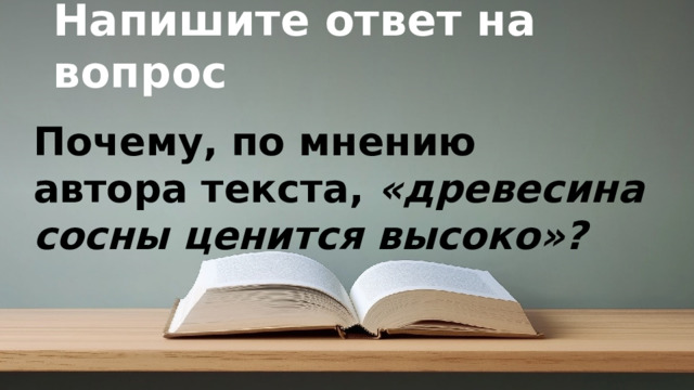 Напишите ответ на вопрос Почему, по мнению автора текста,  «древесина сосны ценится высоко»? © Copyright PresentationGO.com – Free Templates & Infographics for PowerPoint and Google Slides