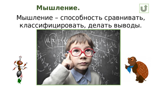 Мышление. Мышление – способность сравнивать, классифицировать, делать выводы.
