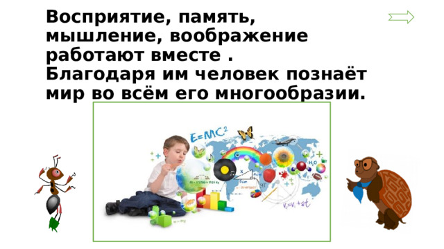 Восприятие, память, мышление, воображение работают вместе .  Благодаря им человек познаёт мир во всём его многообразии.