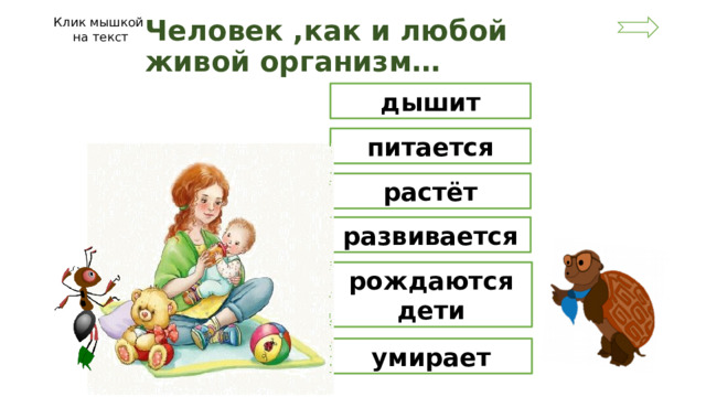 Клик мышкой на текст Человек ,как и любой живой организм… дышит питается растёт развивается рождаются дети умирает