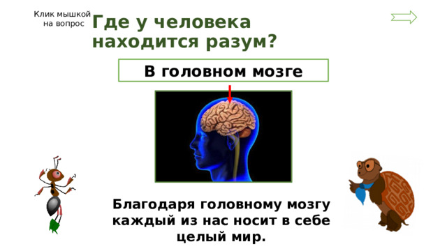 Клик мышкой на вопрос Где у человека находится разум? В головном мозге Благодаря головному мозгу каждый из нас носит в себе целый мир.