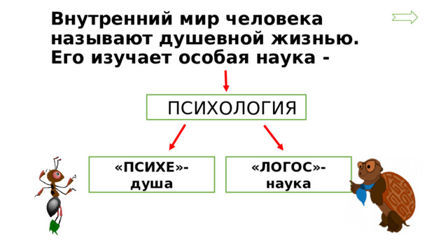 Внутренний мир человека называют душевной жизнью.  Его изучает особая наука -  ПСИХОЛОГИЯ «ПСИХЕ»- душа «ЛОГОС»-наука