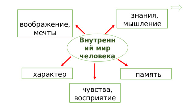 знания, мышление  воображение, мечты Внутренний мир человека  характер  память  чувства, восприятие