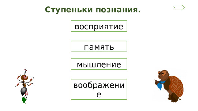 Ступеньки познания. восприятие память мышление воображение