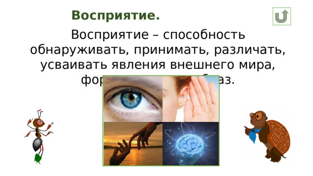 Восприятие. Восприятие – способность обнаруживать, принимать, различать, усваивать явления внешнего мира, формировать их образ.