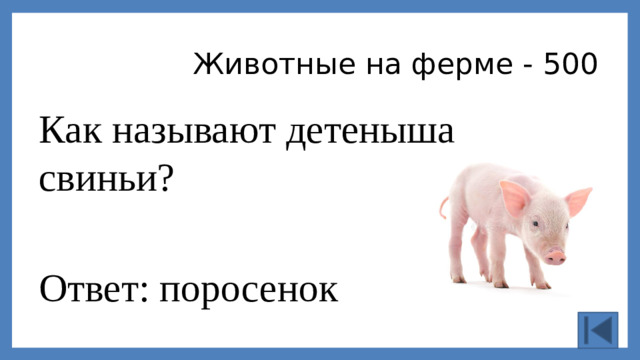 Животные на ферме - 500 Как называют детеныша свиньи? Ответ: поросенок