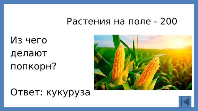 Растения на поле - 200 Из чего делают попкорн? Ответ: кукуруза