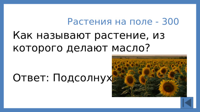 Растения на поле - 300 Как называют растение, из которого делают масло? Ответ: Подсолнух