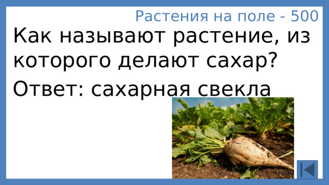 Растения на поле - 500 Как называют растение, из которого делают сахар? Ответ: сахарная свекла