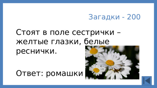 Загадки - 200 Стоят в поле сестрички – желтые глазки, белые реснички. Ответ: ромашки
