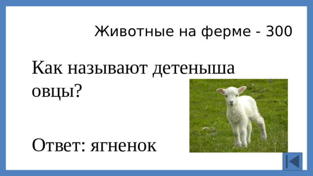 Животные на ферме - 300 Как называют детеныша овцы? Ответ: ягненок