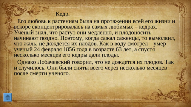 Кедр. Его любовь к растениям была на протяжении всей его жизни и вскоре сконцентрировалась на самых любимых – кедрах. Ученый знал, что растут они медленно, и плодоносить начинают поздно. Поэтому, когда сажал саженцы, то вымолвил, что жаль, не дождется их плодов. Как в воду смотрел – умер ученый 24 февраля 1856 года в возрасте 63 лет, а спустя несколько месяцев его кедры дали плоды. Однако Лобачевский говорил, что не дождется их плодов. Так и случилось. Они были сняты всего через несколько месяцев после смерти ученого.