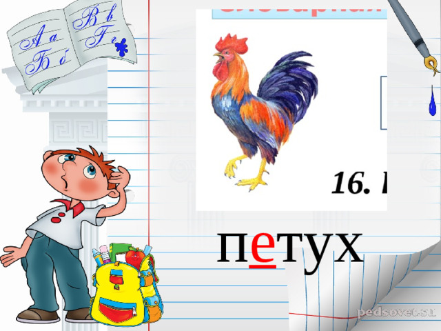 п е тух