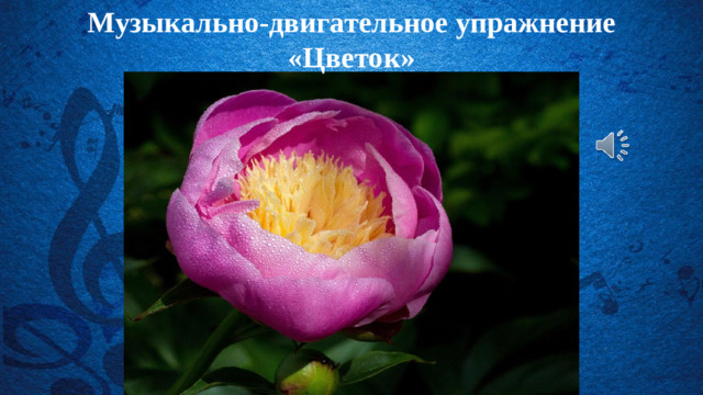 Музыкально-двигательное упражнение «Цветок»