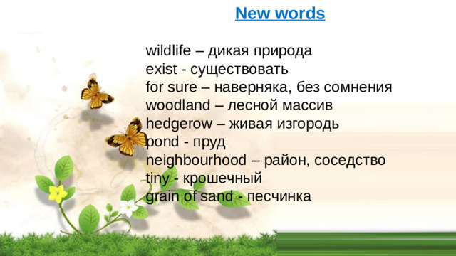 New words wildlife – дикая природа exist - существовать for sure – наверняка, без сомнения woodland – лесной массив hedgerow – живая изгородь pond - пруд neighbourhood – район, соседство tiny - крошечный grain of sand - песчинка