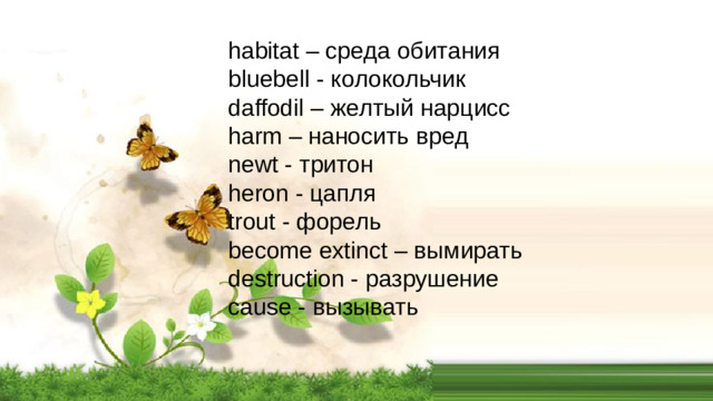 habitat – среда обитания bluebell - колокольчик daffodil – желтый нарцисс harm – наносить вред newt - тритон heron - цапля trout - форель become extinct – вымирать destruction - разрушение cause - вызывать