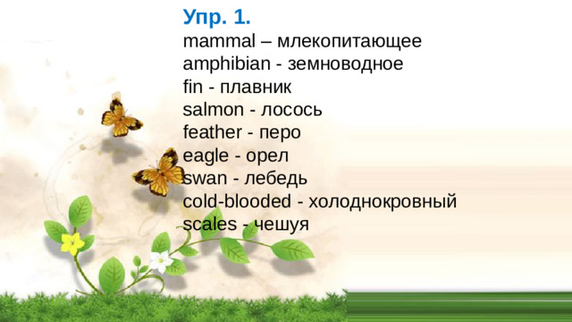 Упр. 1. mammal – млекопитающее amphibian - земноводное fin - плавник salmon - лосось feather - перо eagle - орел swan - лебедь cold-blooded - холоднокровный scales - чешуя