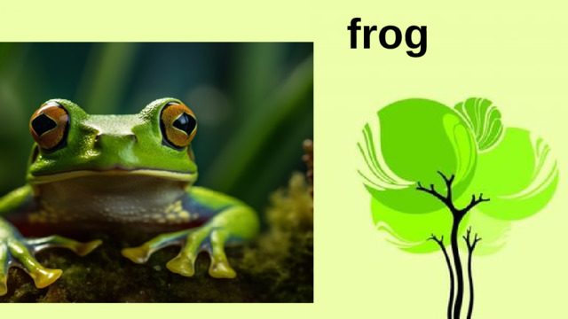 frog