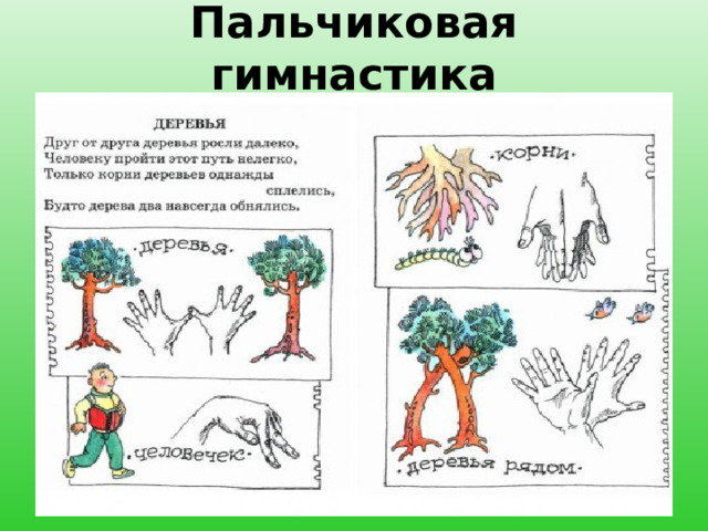 Пальчиковая гимнастика