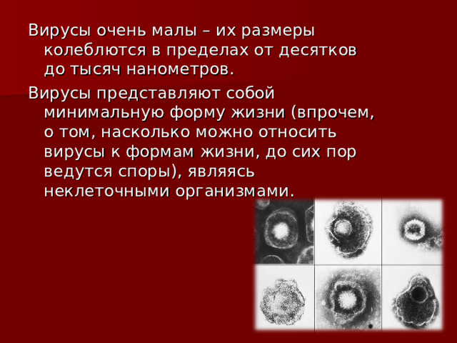 Вирусы очень малы – их размеры колеблются в пределах от десятков до тысяч нанометров. Вирусы представляют собой минимальную форму жизни (впрочем, о том, насколько можно относить вирусы к формам жизни, до сих пор ведутся споры), являясь неклеточными организмами.