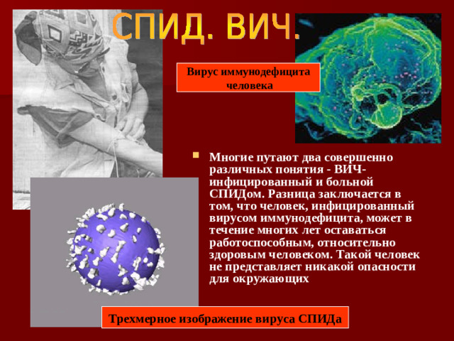Вирус иммунодефицита  человека Многие путают два совершенно различных понятия - ВИЧ-инфицированный и больной СПИДом. Разница заключается в том, что человек, инфицированный вирусом иммунодефицита, может в течение многих лет оставаться работоспособным, относительно здоровым человеком. Такой человек не представляет никакой опасности для окружающих Трехмерное изображение вируса СПИДа