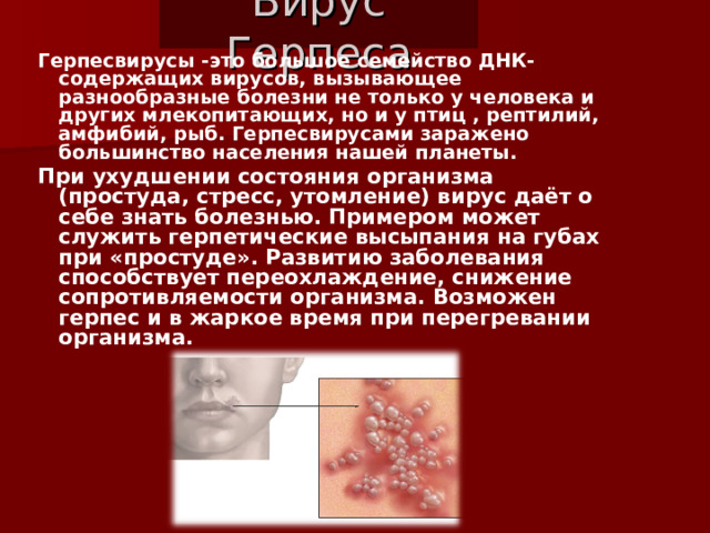 Вирус Герпеса Герпесвирусы -это большое семейство ДНК-содержащих вирусов, вызывающее разнообразные болезни не только у человека и других млекопитающих, но и у птиц , рептилий, амфибий, рыб. Герпесвирусами заражено большинство населения нашей планеты. При ухудшении состояния организма (простуда, стресс, утомление) вирус даёт о себе знать болезнью. Примером может служить герпетические высыпания на губах при «простуде». Развитию заболевания способствует переохлаждение, снижение сопротивляемости организма. Возможен герпес и в жаркое время при перегревании организма.