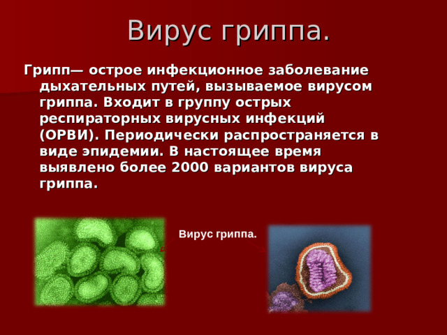 Вирус гриппа. Грипп— острое инфекционное заболевание дыхательных путей, вызываемое вирусом гриппа. Входит в группу острых респираторных вирусных инфекций (ОРВИ). Периодически распространяется в виде эпидемии. В настоящее время выявлено более 2000 вариантов вируса гриппа.  Вирус гриппа.