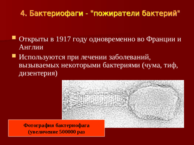Открыты в 1917 году одновременно во Франции и Англии Используются при лечении заболеваний, вызываемых некоторыми бактериями (чума, тиф, дизентерия)