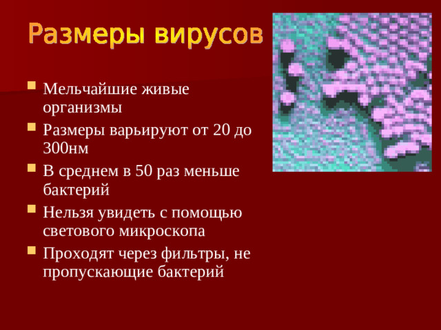Мельчайшие живые организмы Размеры варьируют от 20 до 300нм В среднем в 50 раз меньше бактерий Нельзя увидеть с помощью светового микроскопа Проходят через фильтры, не пропускающие бактерий