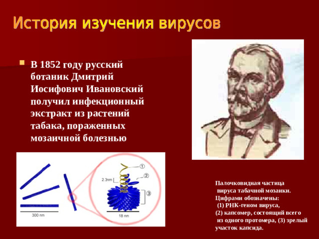 В 1852 году русский ботаник Дмитрий Иосифович Ивановский получил инфекционный экстракт из растений табака, пораженных мозаичной болезнью