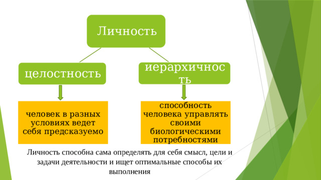 Личность иерархичность целостность способность человека управлять своими биологическими потребностями человек в разных условиях ведет себя предсказуемо Личность способна сама определять для себя смысл, цели и задачи деятельности и ищет оптимальные способы их выполнения