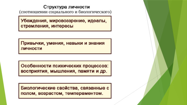 (соотношении социального и биологического) 